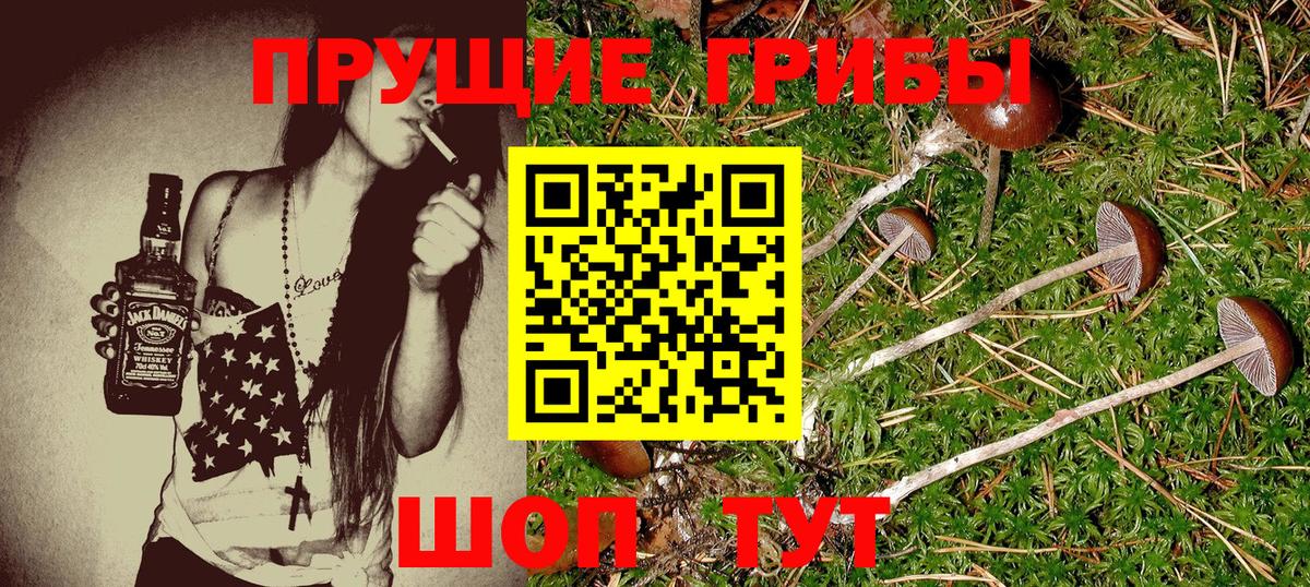 Псилоцибиновые грибы ЛСД  Галлюциногенные грибы ЛСД  Асбест  Вход с VPN 