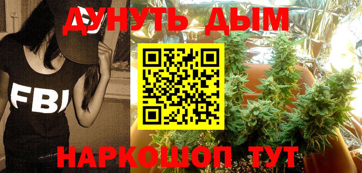 Конопля сатива  Канабис конопля  Конопля семена  Вход с VPN  Асбест 